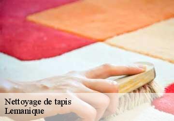 Nettoyage de tapis Lemanique  Artisan Fleury 