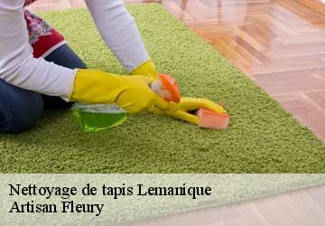 Nettoyage de tapis LE Lemanique  Artisan Fleury 
