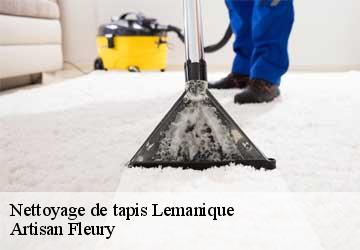 Nettoyage de tapis Lemanique  Artisan Fleury 