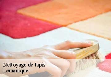Nettoyage de tapis LE Lemanique  Tapissier ferluga