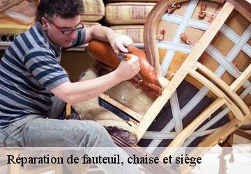 Réparation de fauteuil, chaise et siège Lemanique  Artisan Fleury 