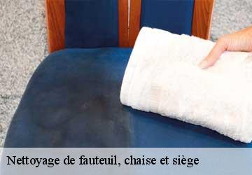 Nettoyage de fauteuil, chaise et siège Lemanique  Artisan Fleury 
