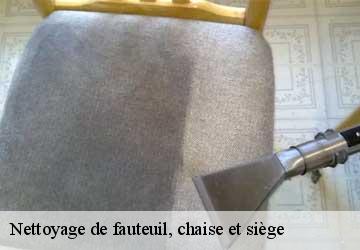 Nettoyage de fauteuil, chaise et siège Lemanique  Artisan Fleury 