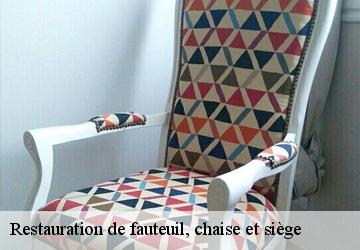 Restauration de fauteuil, chaise et siège LE Lemanique  Artisan Fleury 
