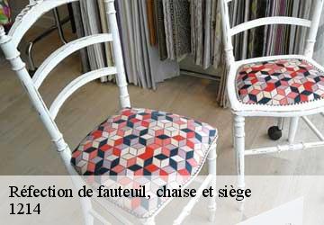 Réfection de fauteuil, chaise et siège  vernier-1214 Artisan Fleury 