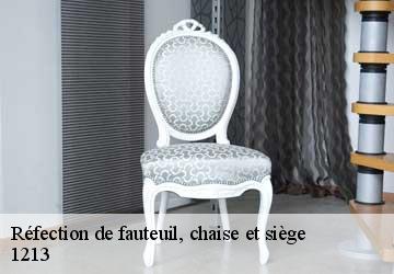 Réfection de fauteuil, chaise et siège  onex-1213 Artisan Fleury 