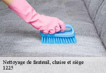 Nettoyage de fauteuil, chaise et siège  chene-bourg-1225 Artisan Fleury 