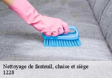 Nettoyage de fauteuil, chaise et siège  plan-les-ouates-1228 Artisan Fleury 