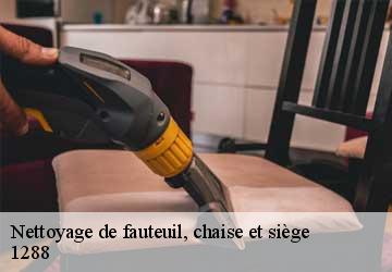 Nettoyage de fauteuil, chaise et siège  aire-la-ville-1288 Artisan Fleury 