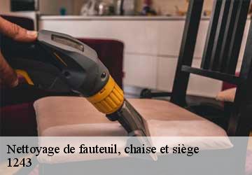 Nettoyage de fauteuil, chaise et siège  presinge-1243 Artisan Fleury 