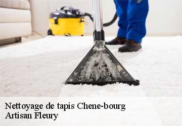 Nettoyage de tapis  chene-bourg-1225 Artisan Fleury 