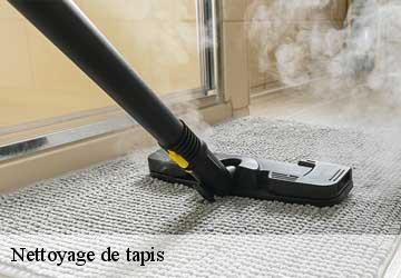 Nettoyage de tapis  versoix-1290 Artisan Fleury 