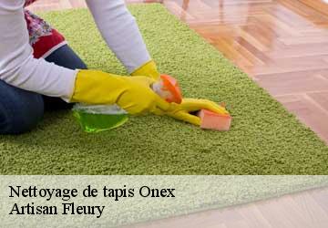 Nettoyage de tapis  onex-1213 Artisan Fleury 