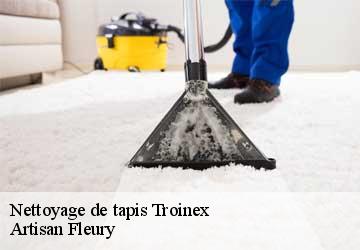 Nettoyage de tapis  troinex-1256 Artisan Fleury 