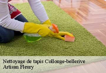 Nettoyage de tapis  collonge-bellerive-1245 Artisan Fleury 