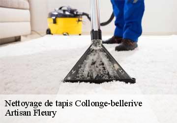 Nettoyage de tapis  collonge-bellerive-1245 Artisan Fleury 