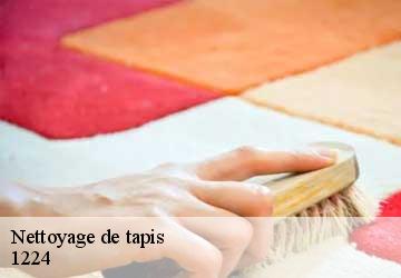 Nettoyage de tapis  chene-bougeries-1224 Artisan Fleury 