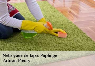 Nettoyage de tapis  puplinge-1241 Artisan Fleury 