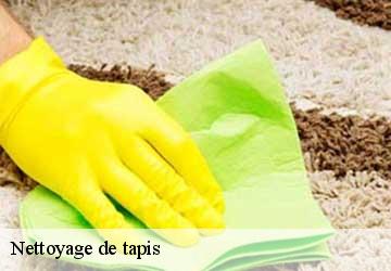 Nettoyage de tapis  presinge-1243 Artisan Fleury 