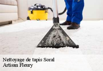 Nettoyage de tapis  soral-1286 Artisan Fleury 