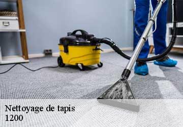 Nettoyage de tapis  geneve-1200 Artisan Fleury 