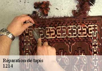 Réparation de tapis  vernier-1214 Artisan Fleury 