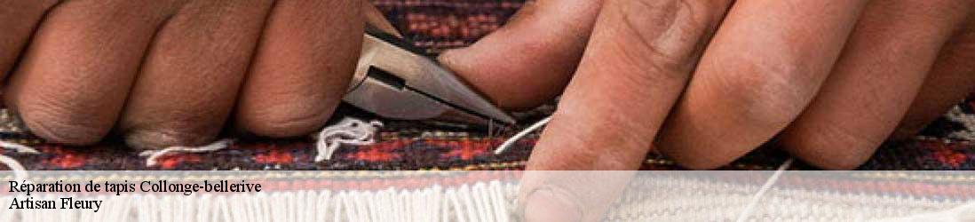 Réparation de tapis  collonge-bellerive-1245 Artisan Fleury 