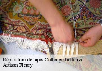 Réparation de tapis  collonge-bellerive-1245 Artisan Fleury 