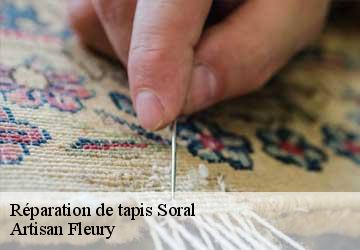 Réparation de tapis  soral-1286 Artisan Fleury 