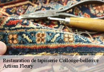 Restauration de tapisserie  collonge-bellerive-1245 Artisan Fleury 