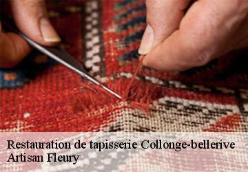 Restauration de tapisserie  collonge-bellerive-1245 Artisan Fleury 