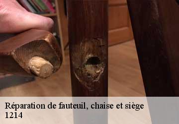 Réparation de fauteuil, chaise et siège  vernier-1214 Artisan Fleury 