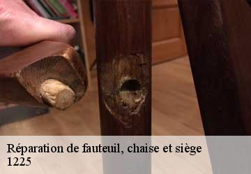 Réparation de fauteuil, chaise et siège  chene-bourg-1225 Artisan Fleury 