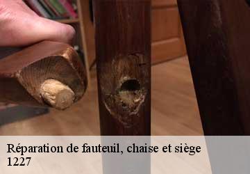 Réparation de fauteuil, chaise et siège  carouge-1227 Artisan Fleury 