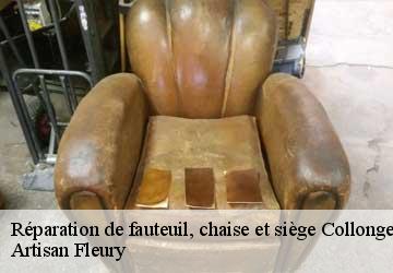 Réparation de fauteuil, chaise et siège  collonge-bellerive-1245 Artisan Fleury 