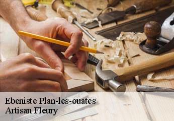 Ebeniste  plan-les-ouates-1228 Artisan Fleury 