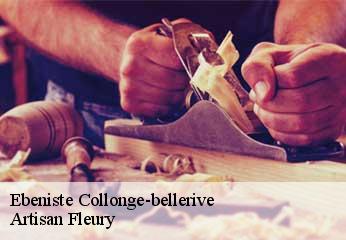 Ebeniste  collonge-bellerive-1245 Artisan Fleury 