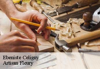Ebeniste  celigny-1298 Artisan Fleury 